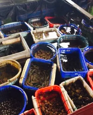 Nha Hang Be Noi Trang Nhung