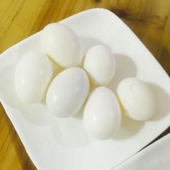 路門農家樂張用戶圖片