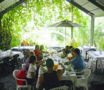 Daintree Tea House Restaurant