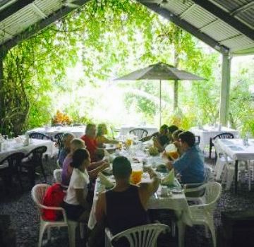 Daintree Tea House Restaurant