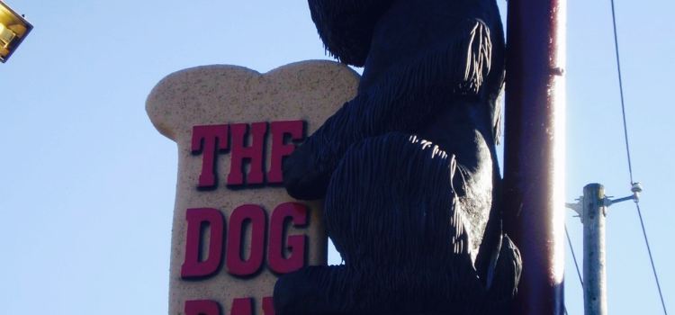 The Dog Bar