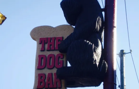 Dog Bar Restaurant