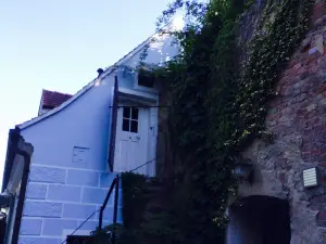 Restaurant Weinstube Dolle