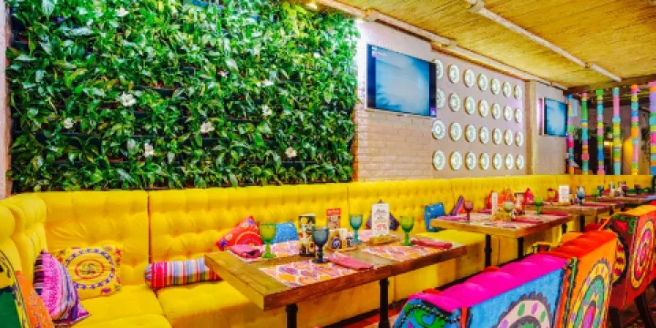 Chaihana Pavlin-Mavlin