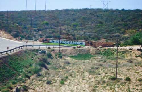 Kardoesie