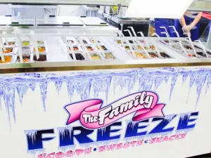 The Family Freeze