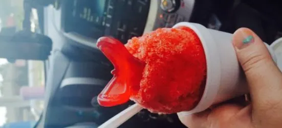 Pelican's SnoBalls