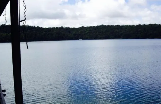 Lake Barrine Tea House, Restaurant And Cottage Accomodation