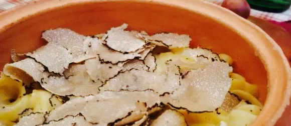 Primizia Food & Wine