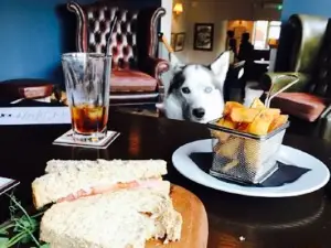 The Fox & Coney Inn