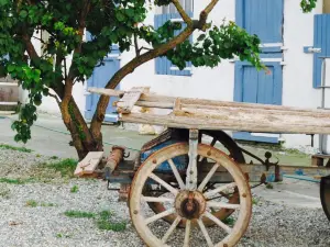 Agriturismo Parie