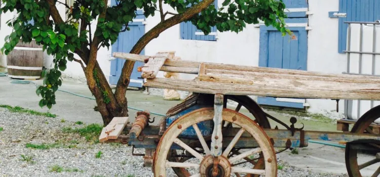 Agriturismo Parié - l'Agripiadineria