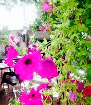 Restaurante ABEL