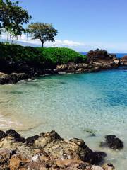 Ala Kahakai National Historic Trail