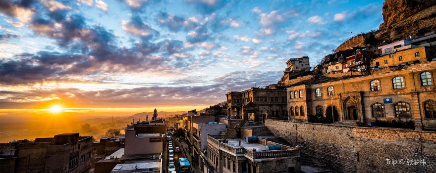 Mardin Castle