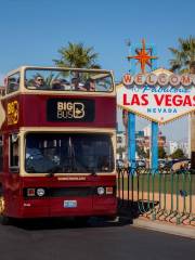 Big Bus Las Vegas 拉斯維加斯隨上隨下觀光巴士