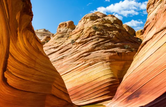 下羚羊谷門票成人