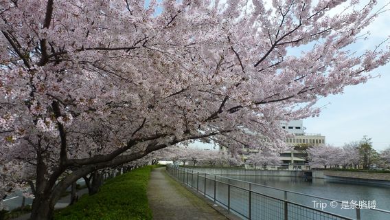 Ebuno Izumi no Mori Hall