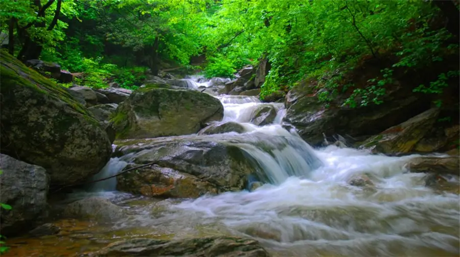 Qinling Dabagou Sceneic Area