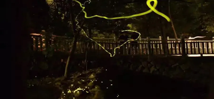 Beste Attraktionen bei Nacht