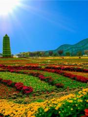 Сельскохозяйственный парк мудрости Чжэньхэ