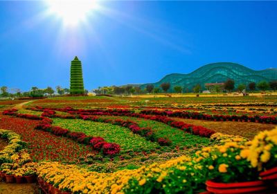 Jinghe Smart Agriculture Park