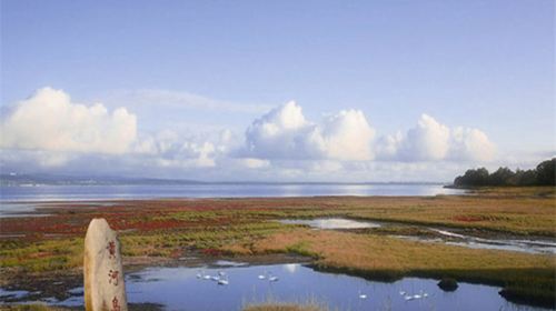 The Yellow River Delta Tourism Island of Eco-culture