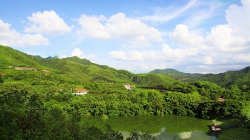 雁南飛茶田景區