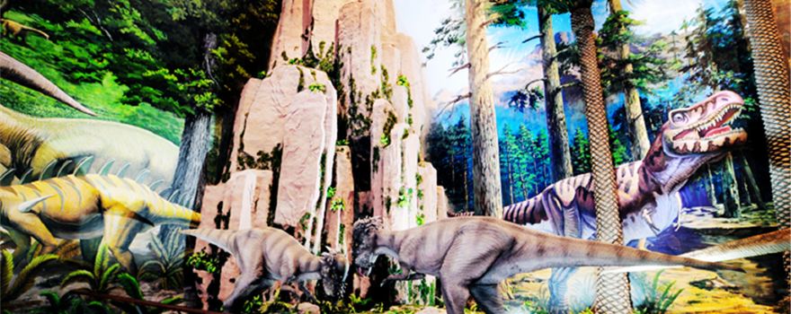 Xixia Dinosaur Relics Park