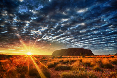 Uluṟu-Kata Tjuṯa National Park