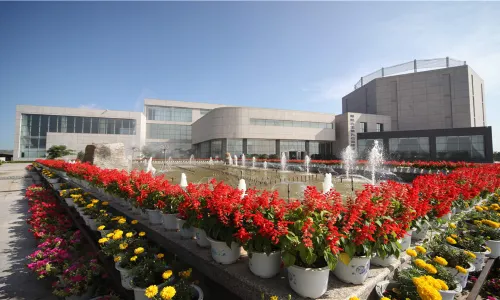 Bird Fossil National Geological Park of Chaoyang