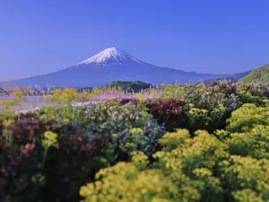 大石公園