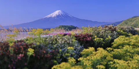 大石公園