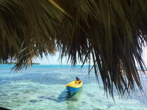 Pelican Bar