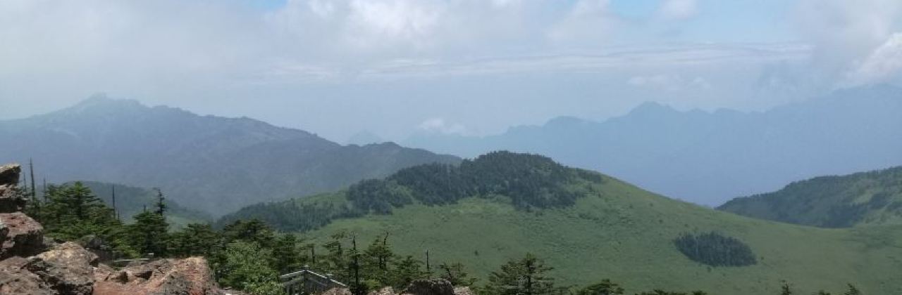 红坪特色农家(画廊路分店)