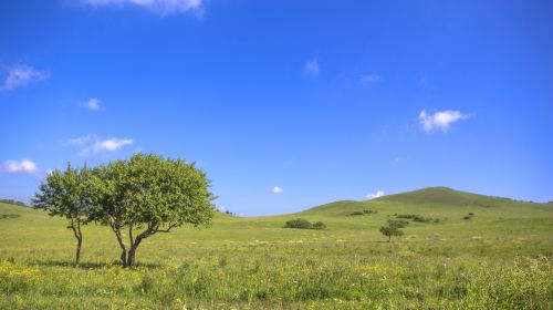 Ulan Butung Grasslands