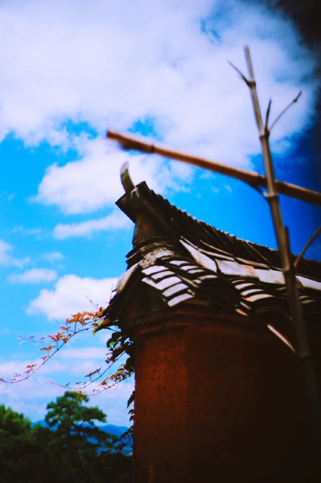楊家堂村