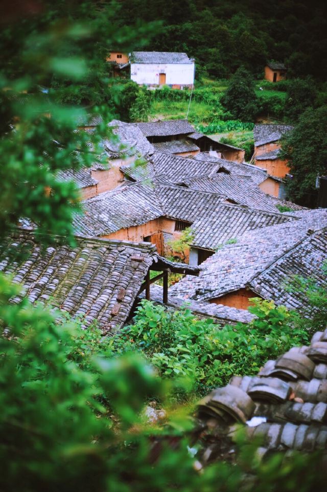 楊家堂村