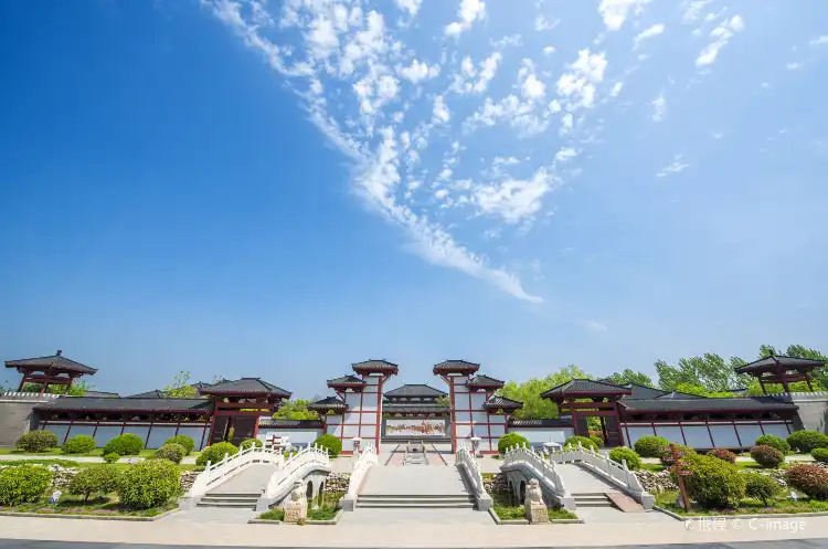 Shell properties in Shangqiu