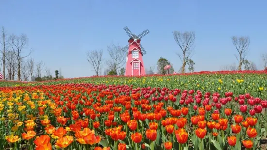 雲瀾灣·四季花海樂園