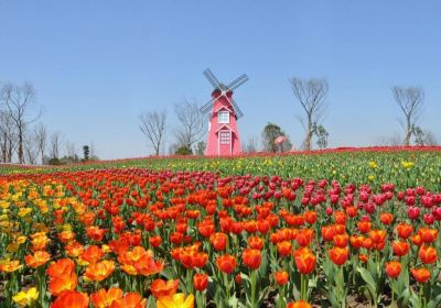 雲瀾灣·四季花海樂園