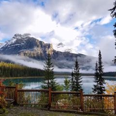 Mount Burgess Dining Room at Emerald Lake Lodge User Photo