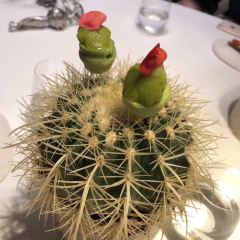 ABaC Restaurant User Photo