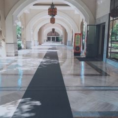 清远狮子湖喜来登度假酒店·大堂吧 User Photo