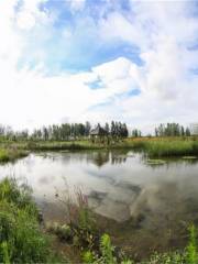 Chengtou Moon Bay Wetland Park