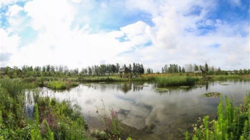 Chengtou Moon Bay Wetland Park