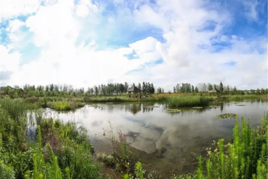 Chengtou Moon Bay Wetland Park