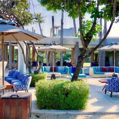 Beach Society ảnh của người dùng