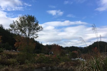 LUO TIAN BAO DAO FENG SHAN LI GONG NONG GU CAI GUAN