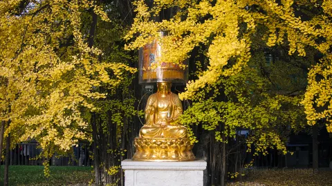 Ancient Guanyin Temple attraction in Xi'an